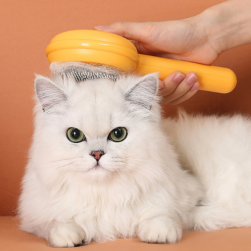 cepillo removedor de pelo gato blanco
